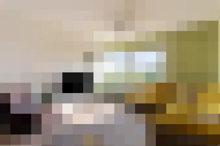 Graan voor Visch 16147 Hoofddorp thumbnail 7