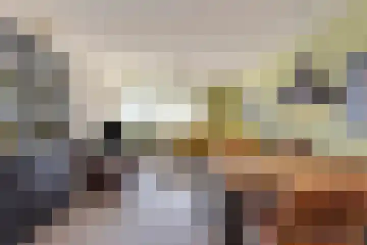 Graan voor Visch 16147 Hoofddorp thumbnail 9