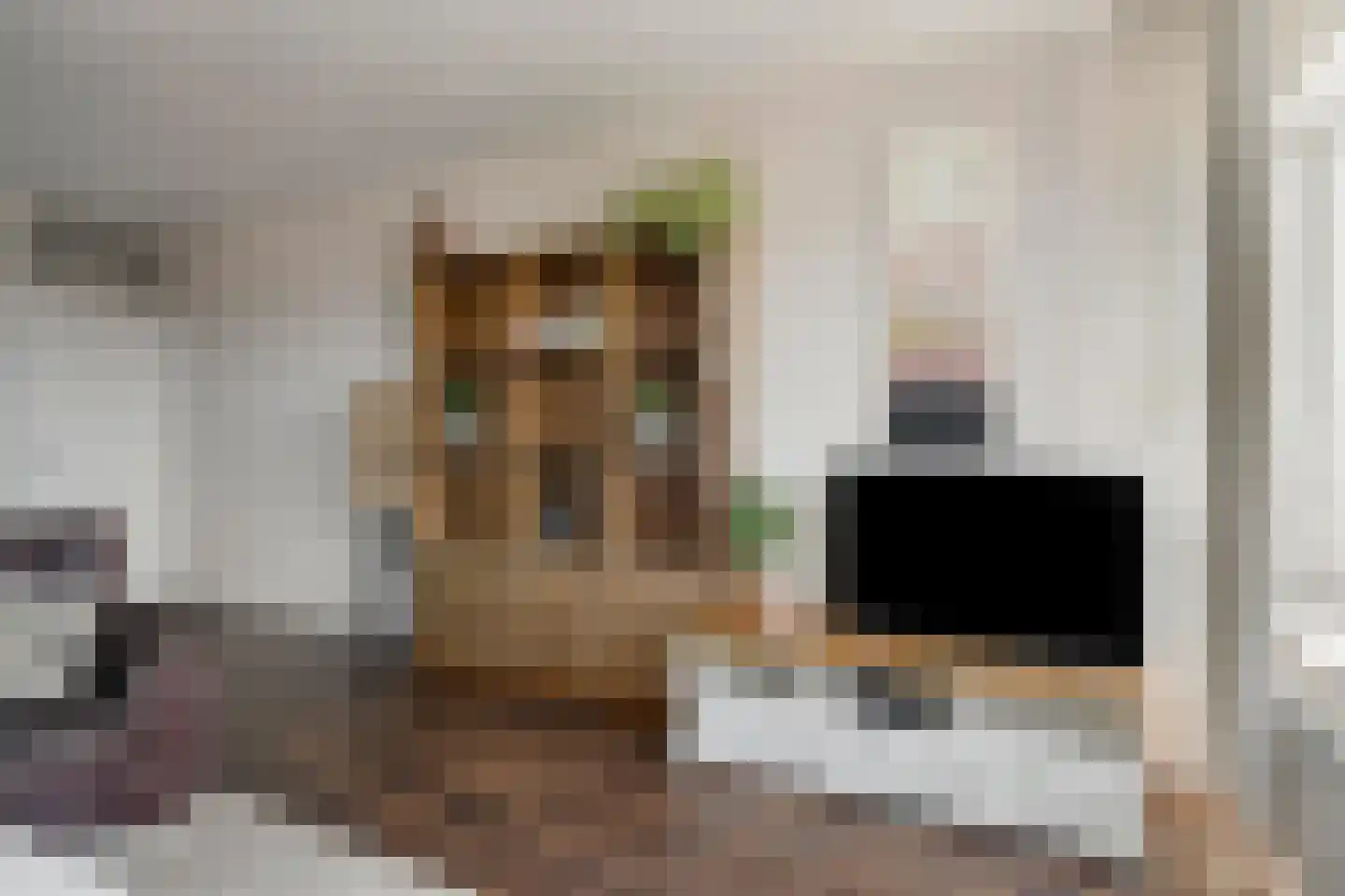 Graan voor Visch 16151 Hoofddorp thumbnail 12