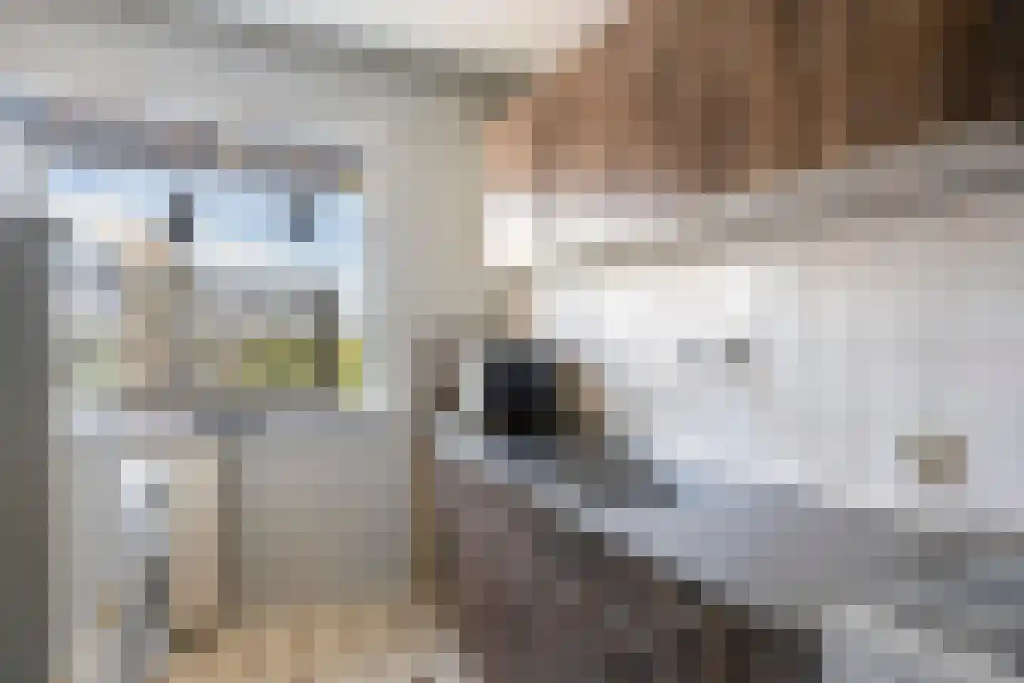 Graan voor Visch 16151 Hoofddorp thumbnail 14