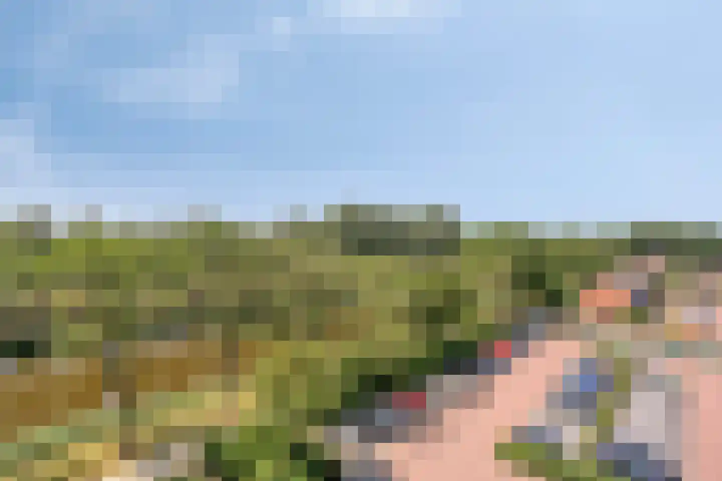 Graan voor Visch 16151 Hoofddorp thumbnail 23