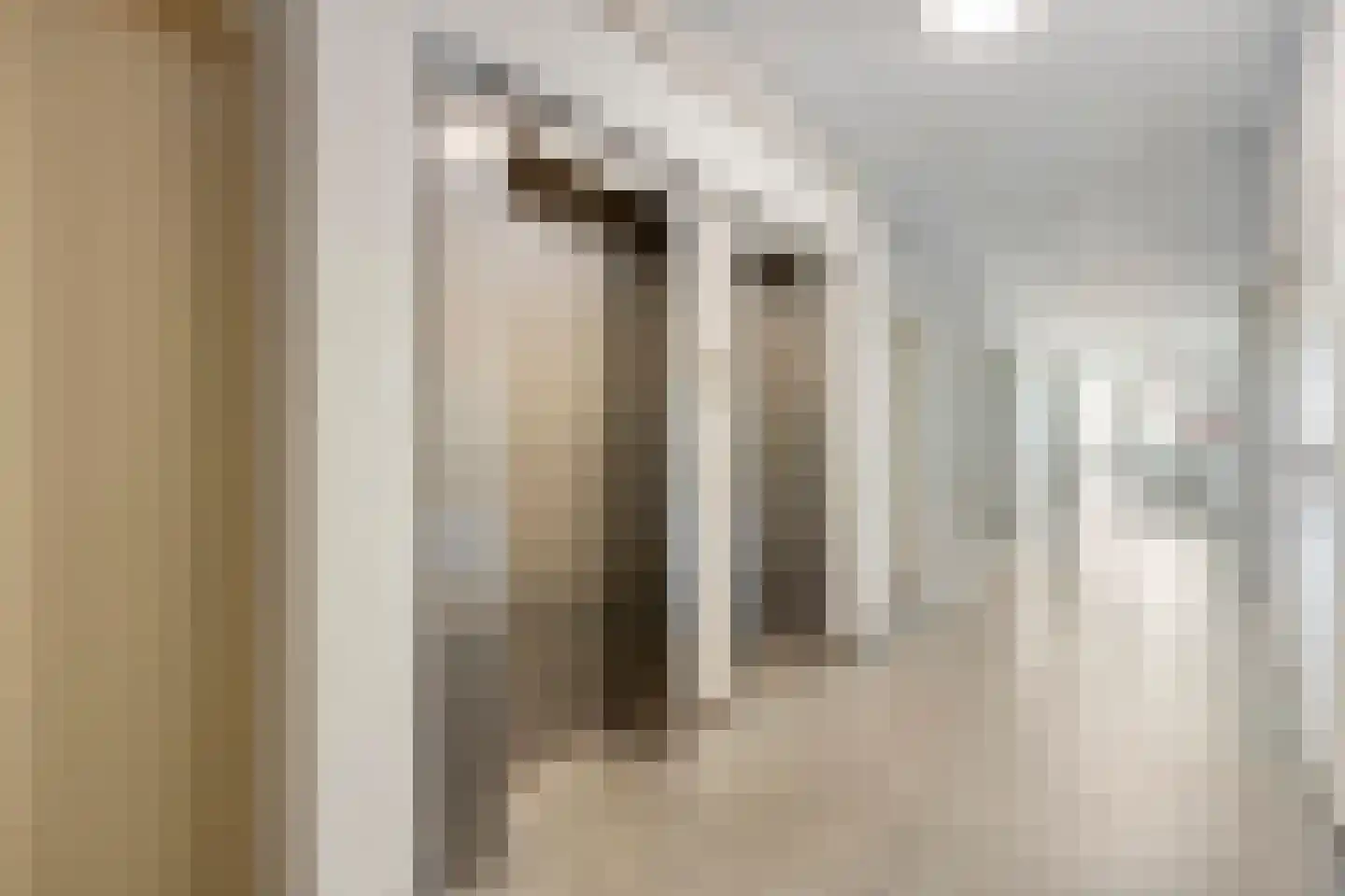 Graan voor Visch 16151 Hoofddorp thumbnail 5