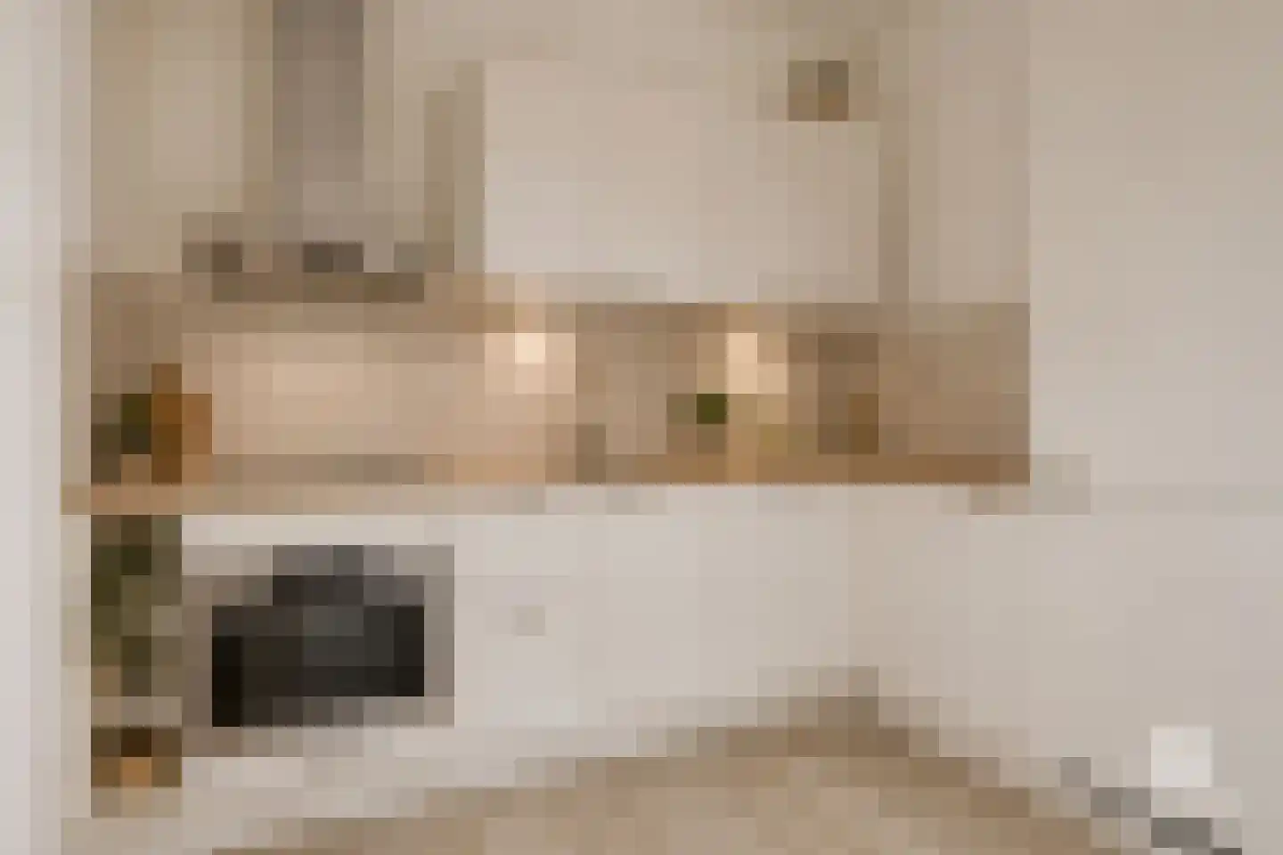 Graan voor Visch 16156 Hoofddorp thumbnail 13