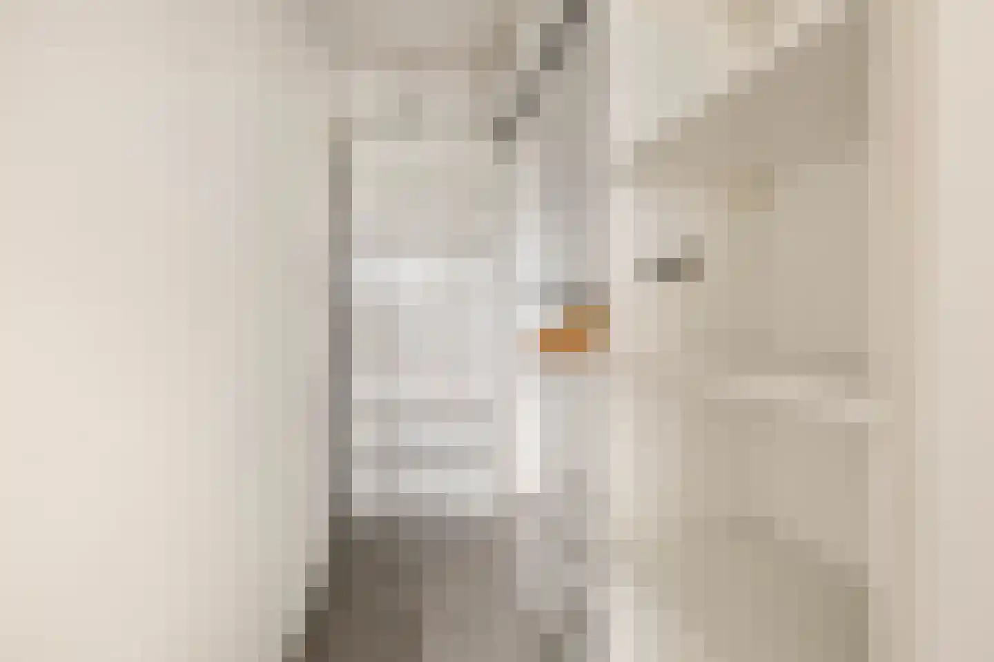 Graan voor Visch 16156 Hoofddorp thumbnail 18