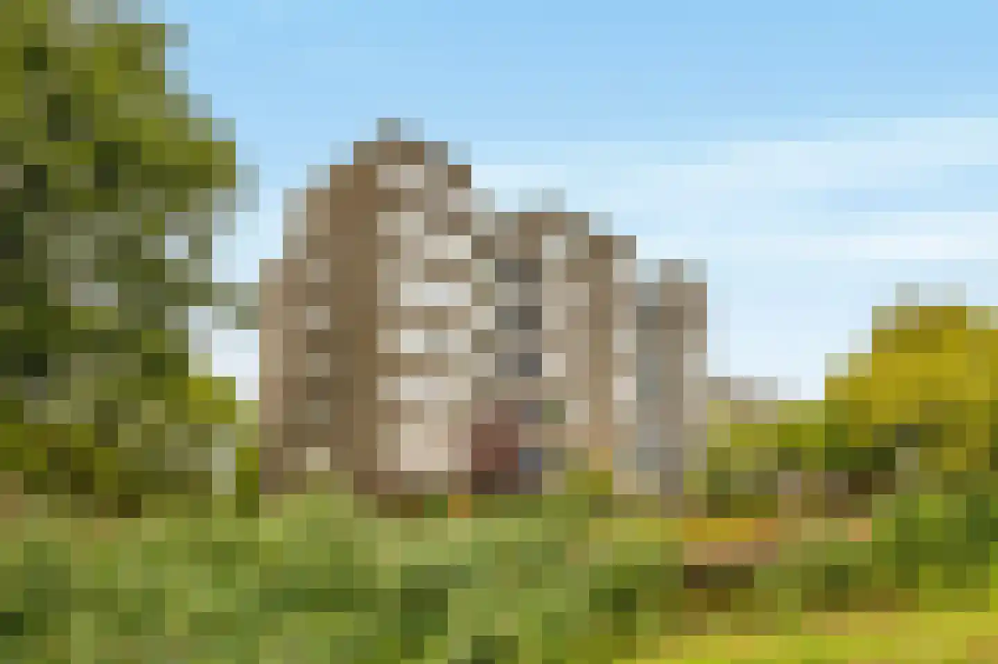 Graan voor Visch 16156 Hoofddorp thumbnail 24