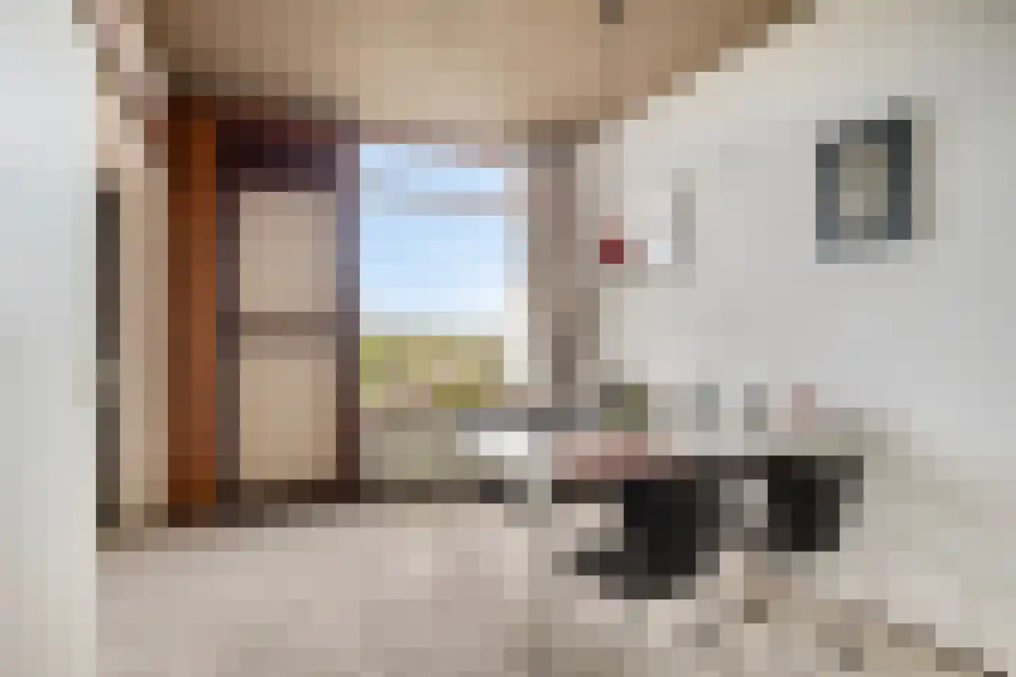 Graan voor Visch 16168 Hoofddorp thumbnail 17