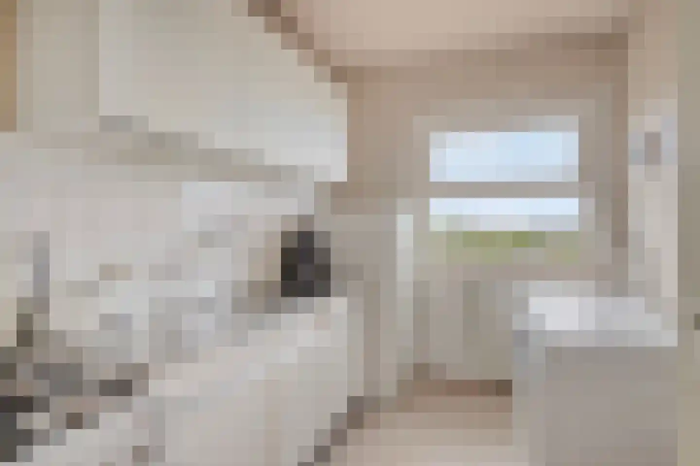 Graan voor Visch 16168 Hoofddorp thumbnail 18