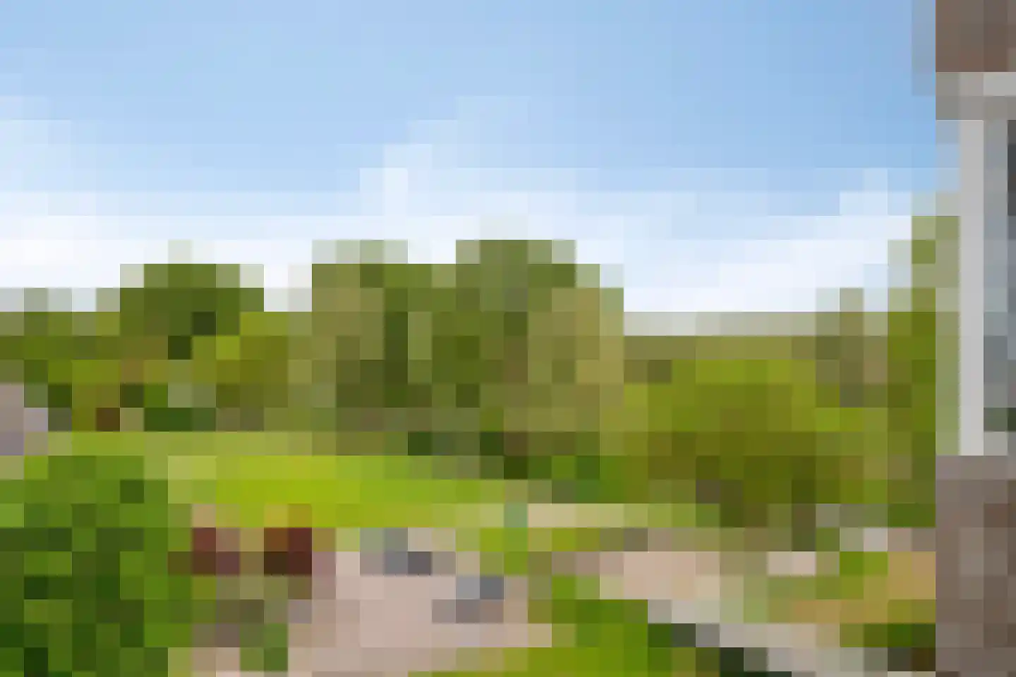 Graan voor Visch 16168 Hoofddorp thumbnail 25