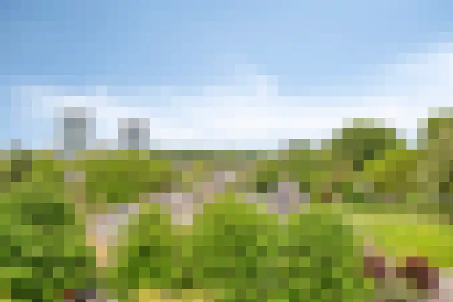 Graan voor Visch 16168 Hoofddorp thumbnail 27