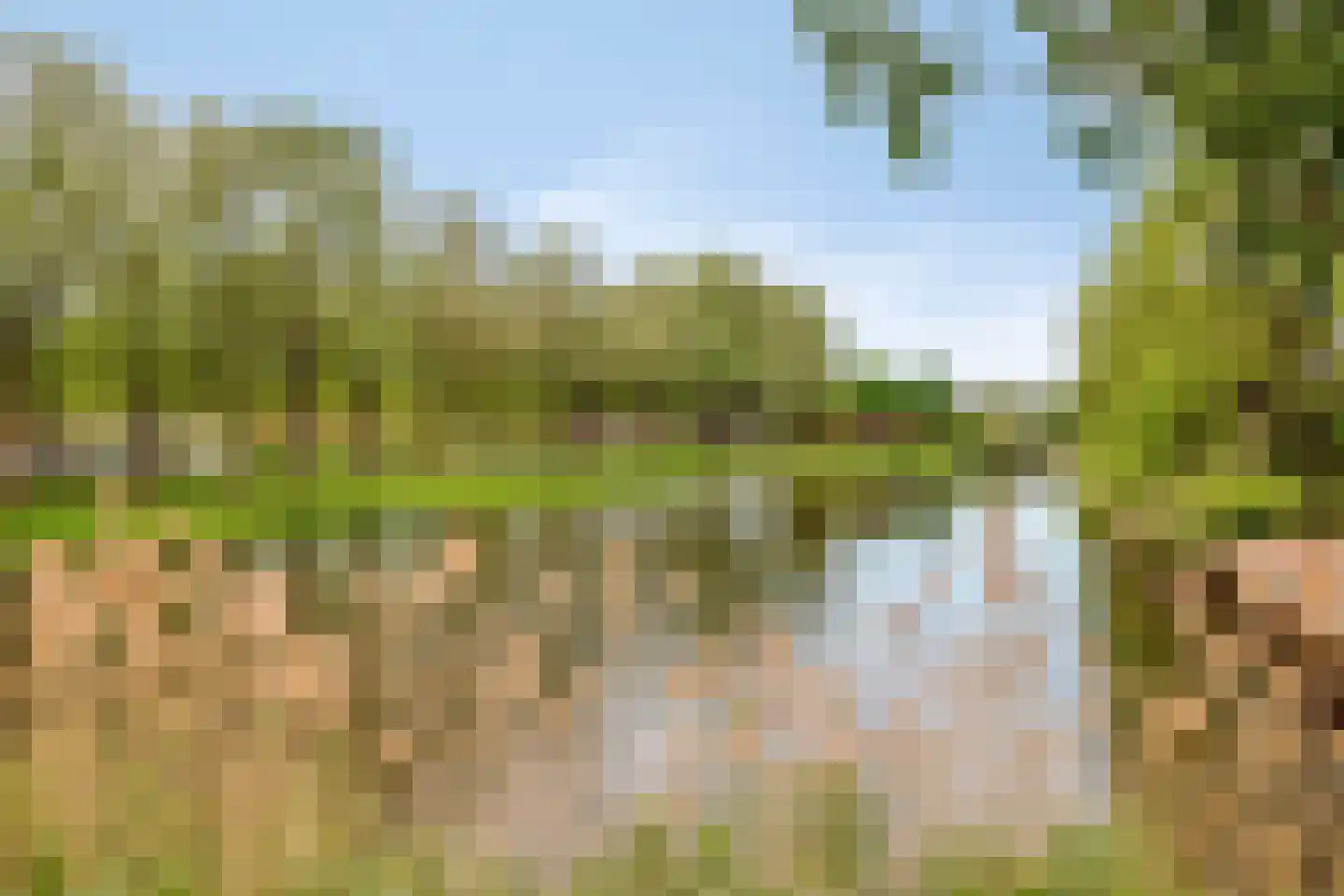 Graan voor Visch 16168 Hoofddorp thumbnail 32