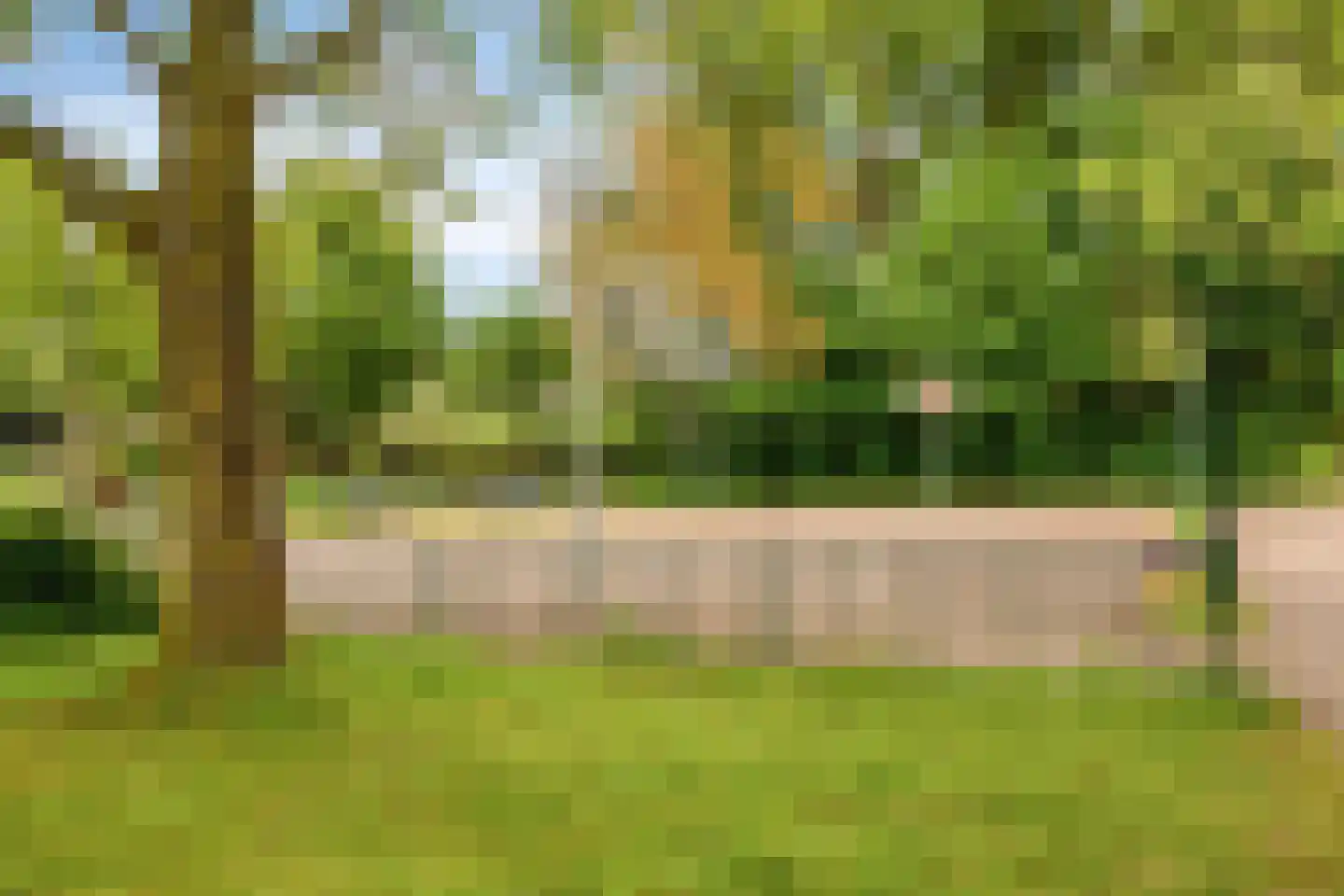 Graan voor Visch 16168 Hoofddorp thumbnail 34
