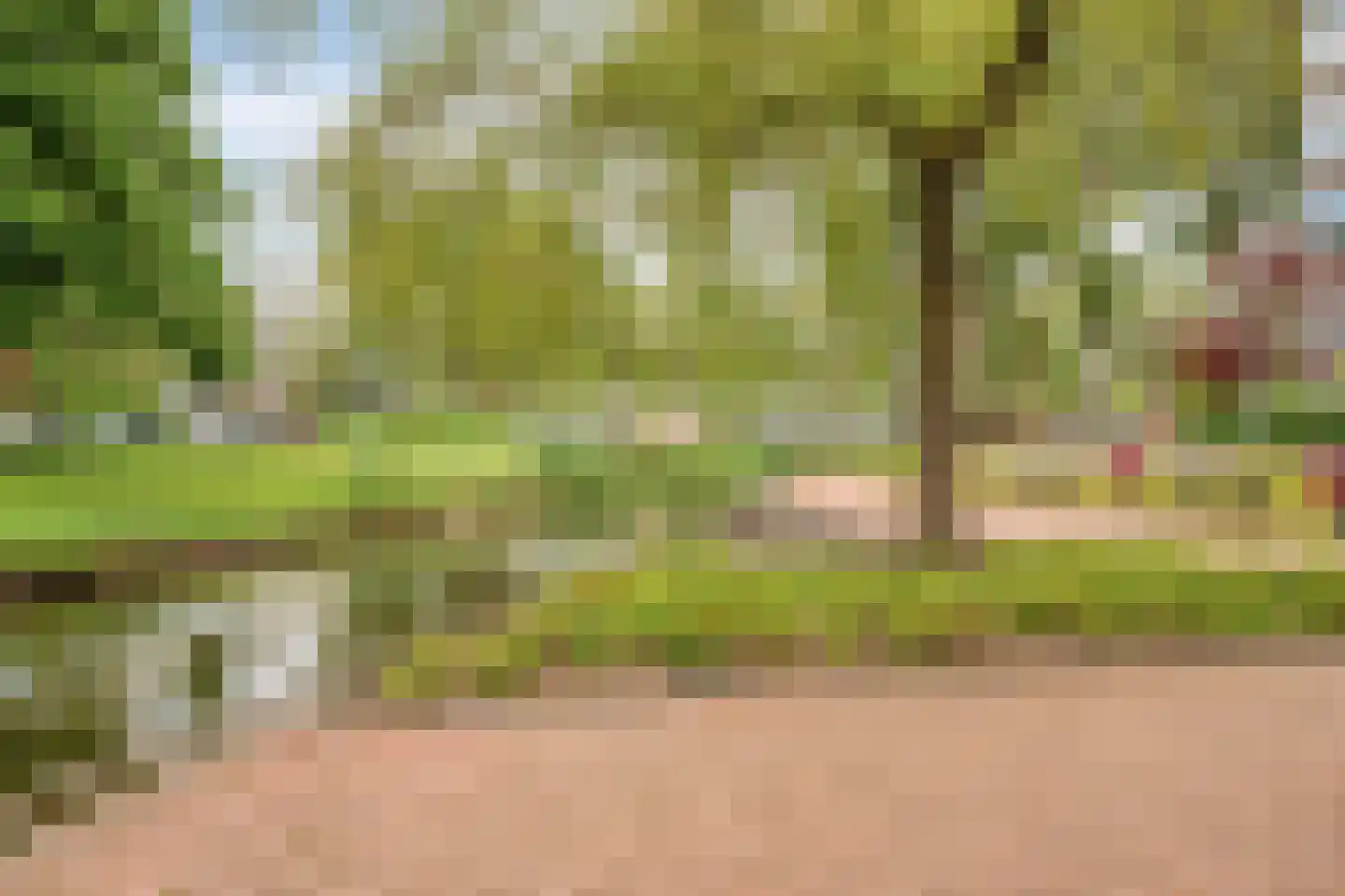 Graan voor Visch 16168 Hoofddorp thumbnail 35