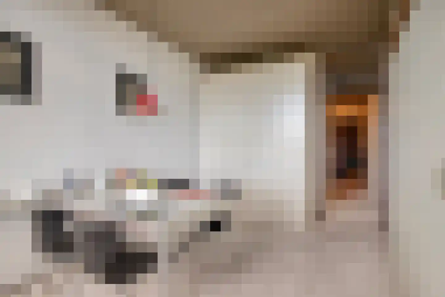 Graan voor Visch 16168 Hoofddorp thumbnail 4