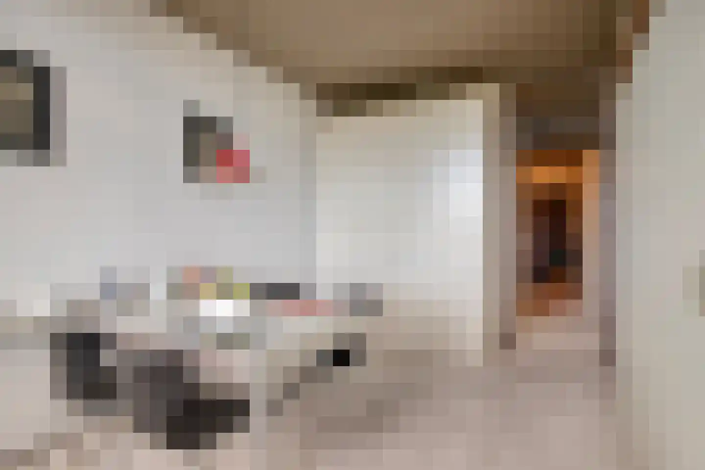 Graan voor Visch 16168 Hoofddorp thumbnail 4