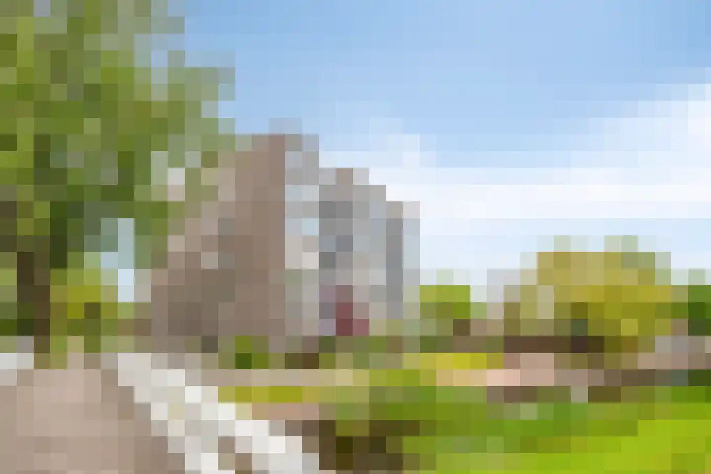 Graan voor Visch 16168 Hoofddorp thumbnail 8