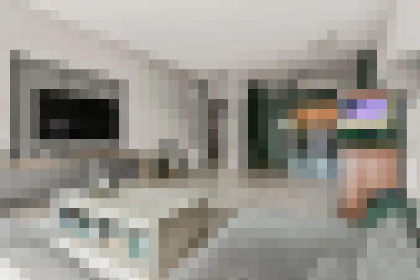 Graan voor Visch 16207 Hoofddorp thumbnail 14