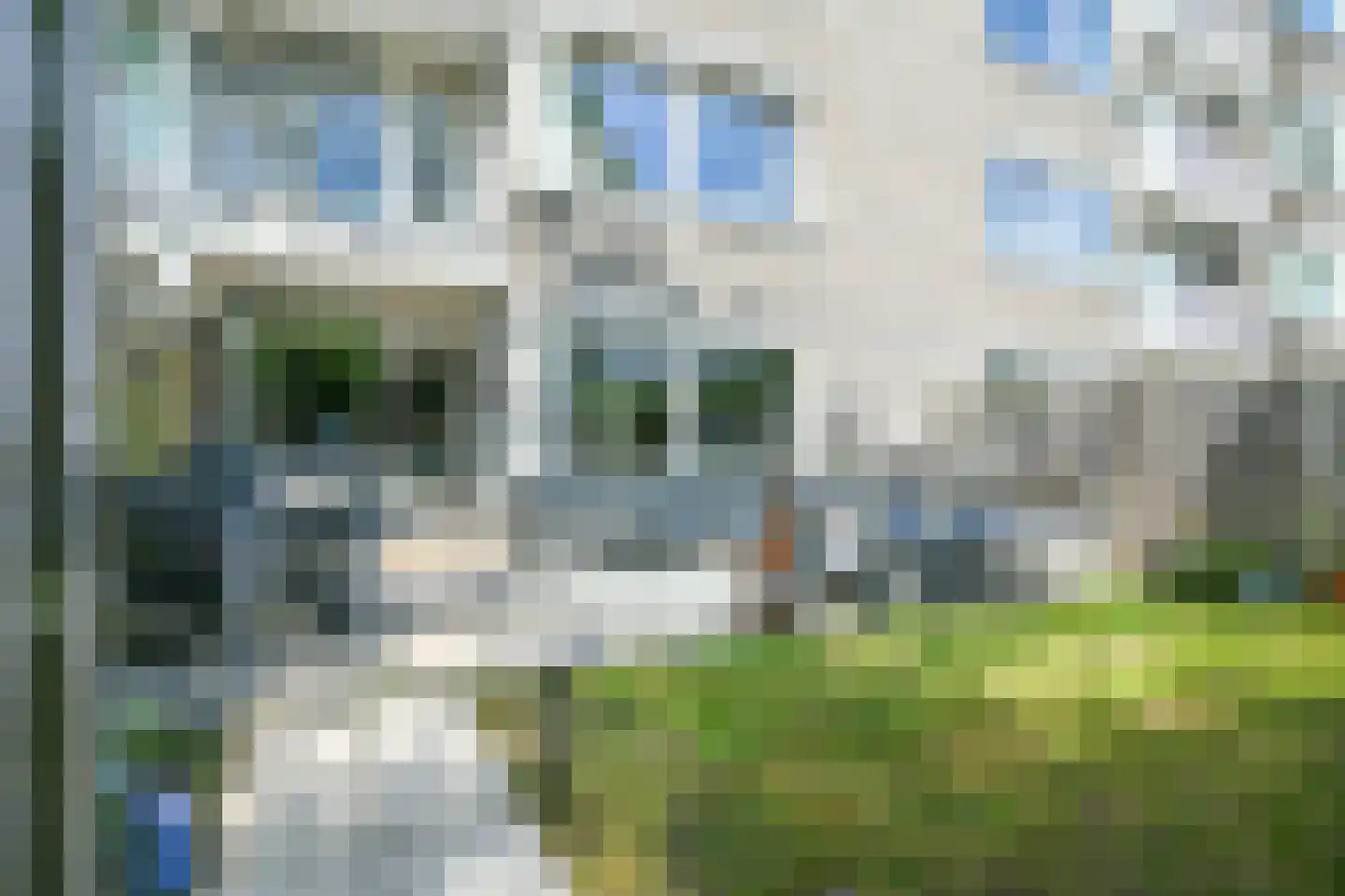 Graan voor Visch 16207 Hoofddorp thumbnail 27