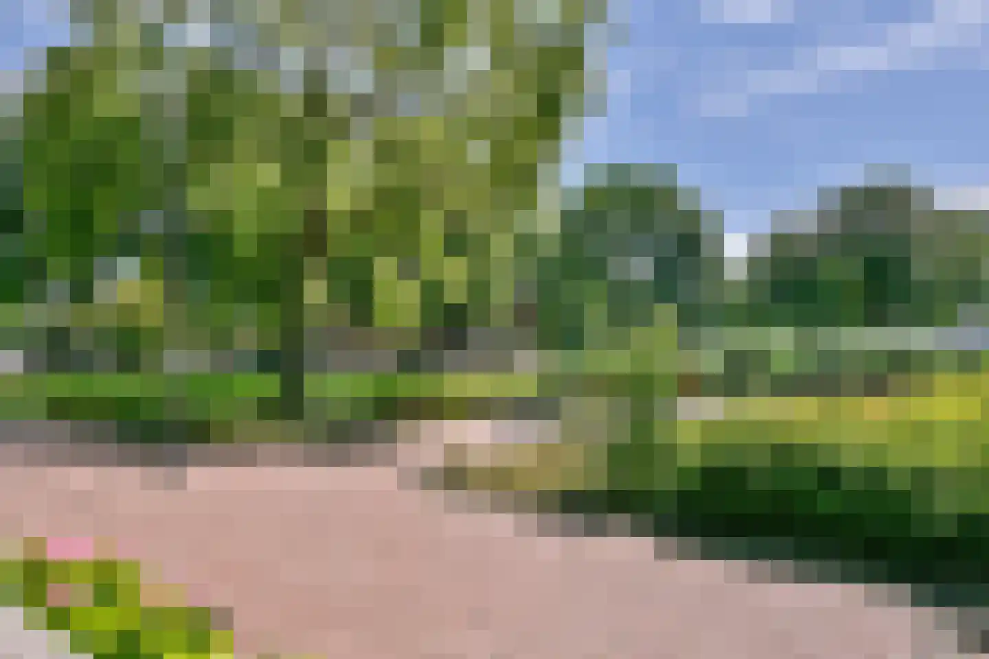 Graan voor Visch 16207 Hoofddorp thumbnail 4