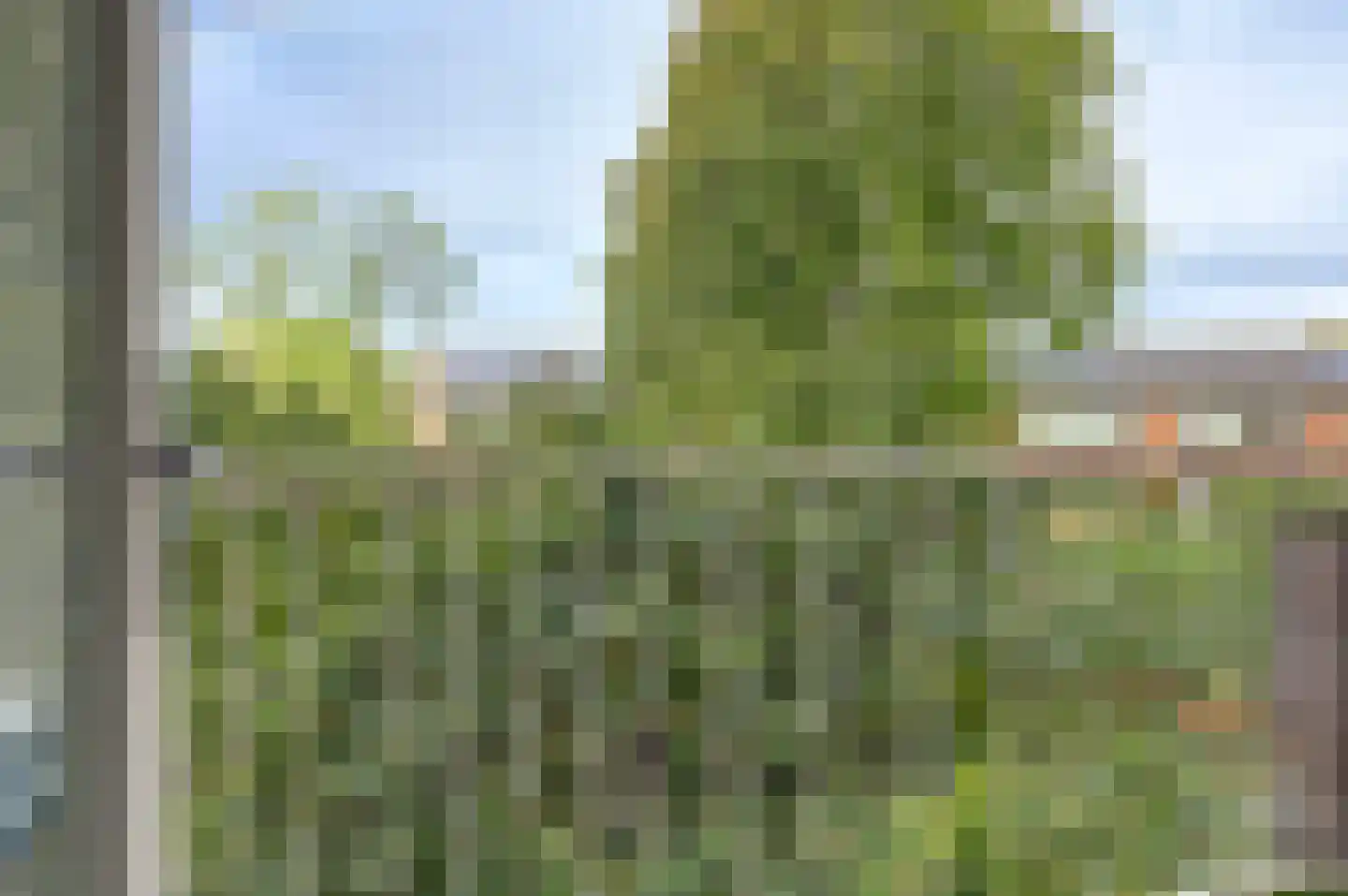 Graan voor Visch 16211 Hoofddorp thumbnail 31