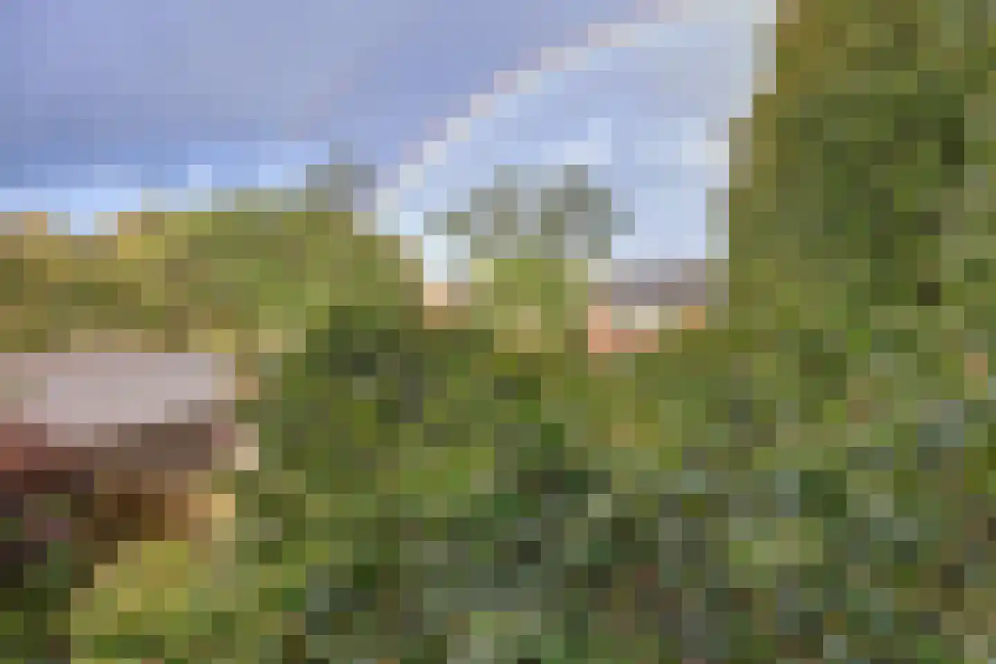 Graan voor Visch 16211 Hoofddorp thumbnail 33