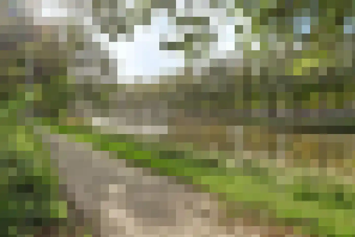 Graan voor Visch 16211 Hoofddorp thumbnail 34