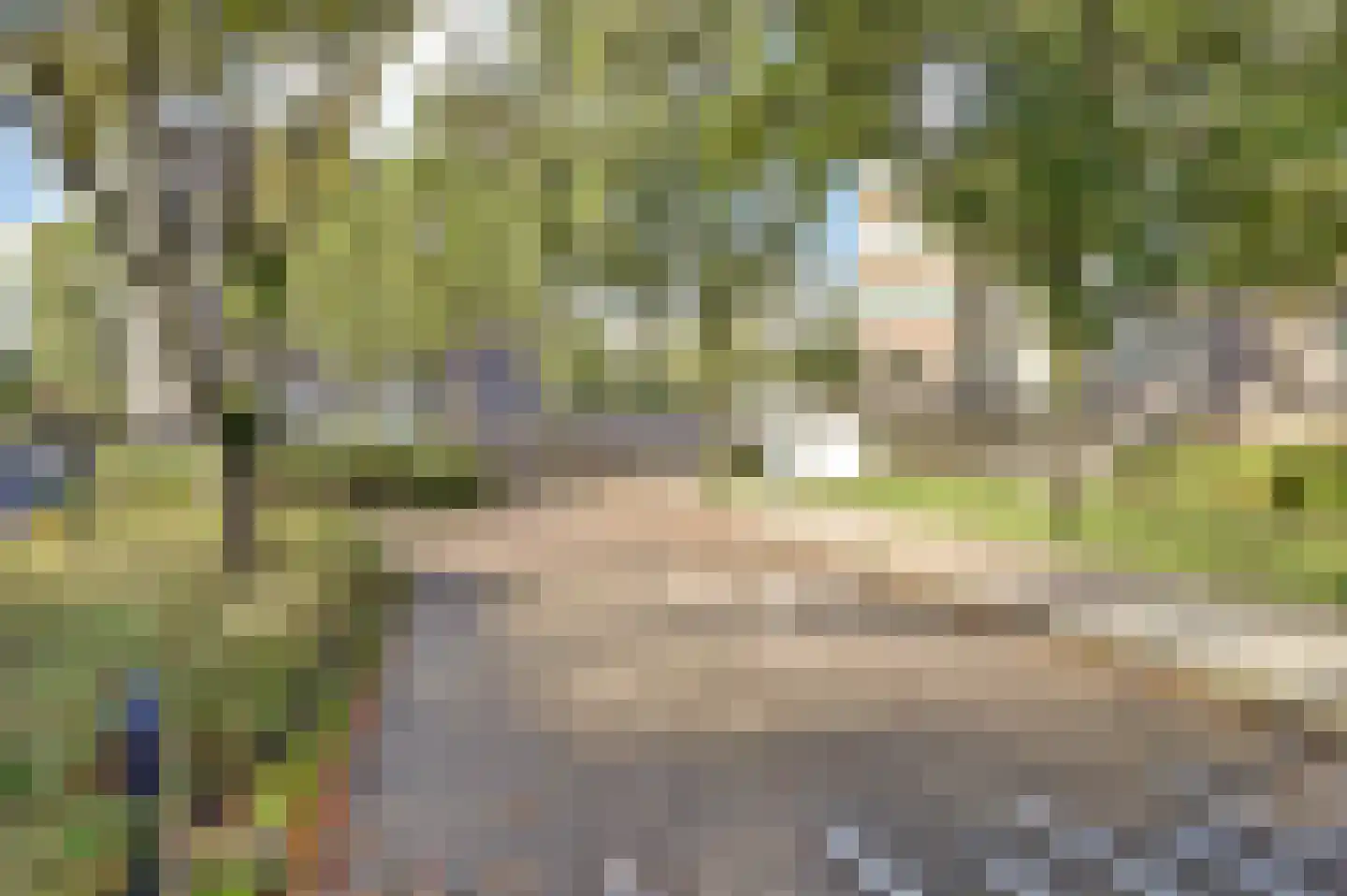 Graan voor Visch 16211 Hoofddorp thumbnail 36