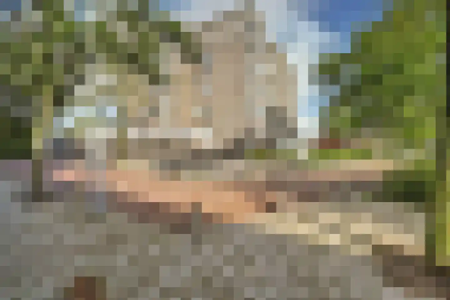Graan voor Visch 16211 Hoofddorp thumbnail 37