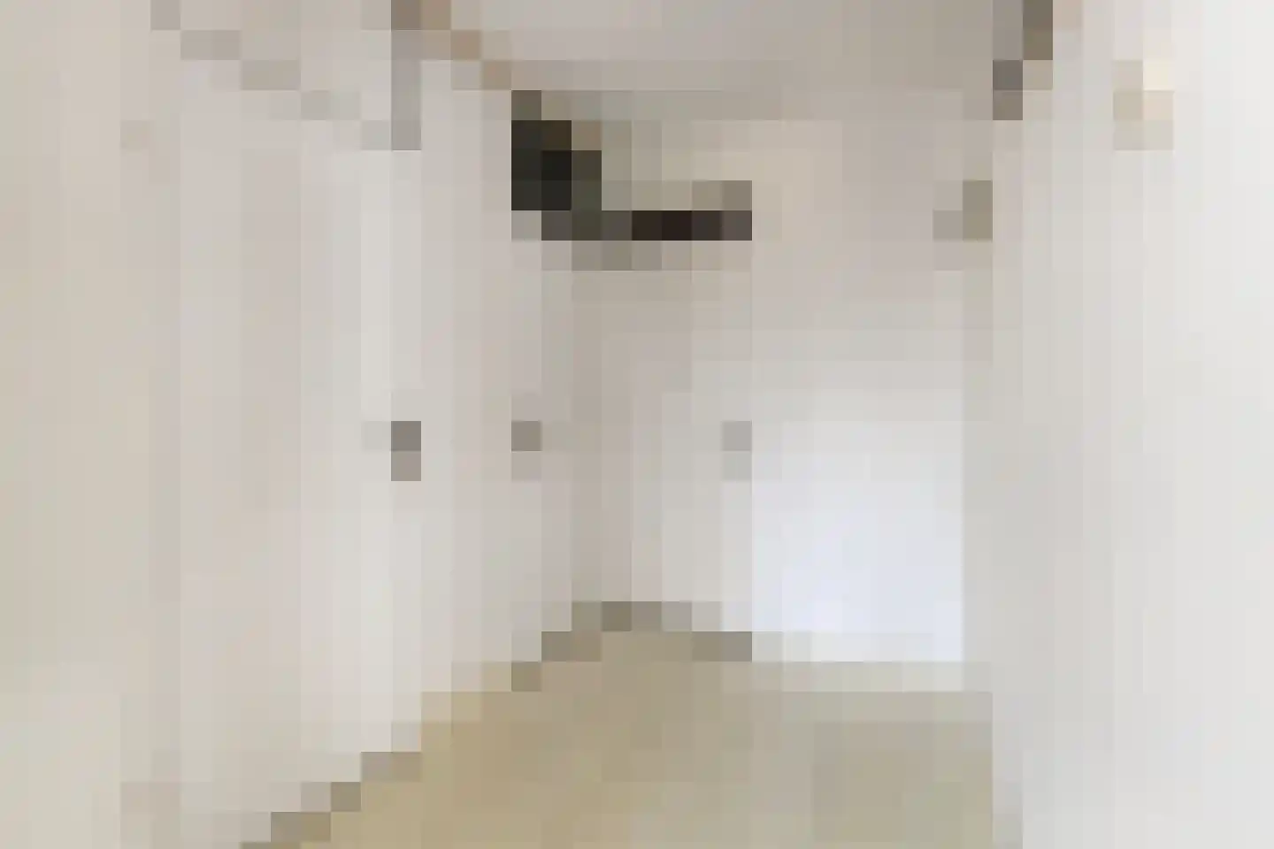 Graan voor Visch 16215 Hoofddorp thumbnail 21