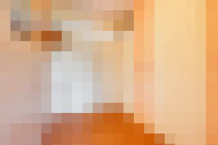Graan voor Visch 16216 Hoofddorp thumbnail 12