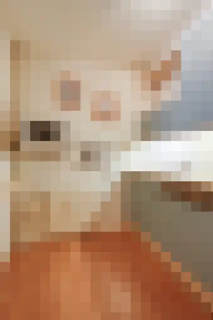 Graan voor Visch 16216 Hoofddorp thumbnail 17