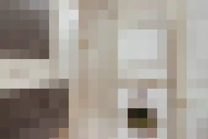 Graan voor Visch 16216 Hoofddorp thumbnail 20