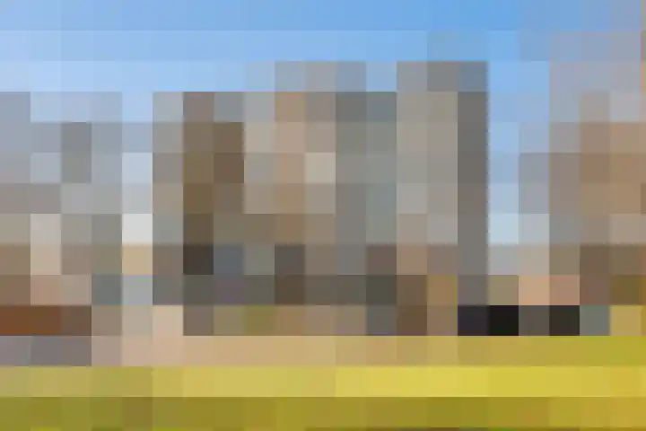 Graan voor Visch 16216 Hoofddorp thumbnail 27