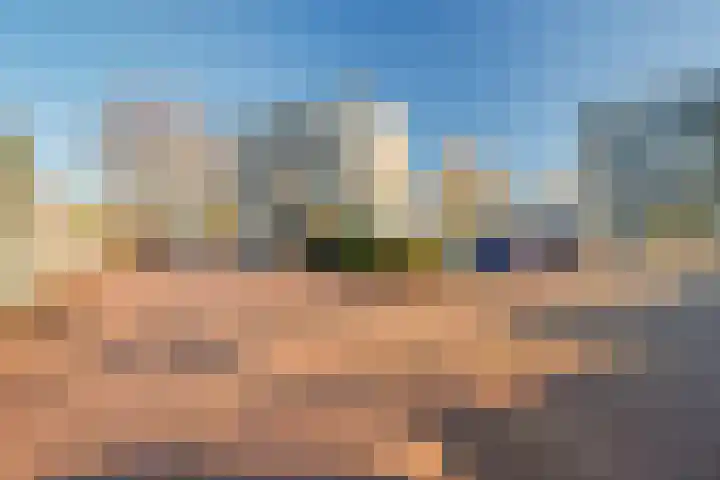 Graan voor Visch 16216 Hoofddorp thumbnail 28