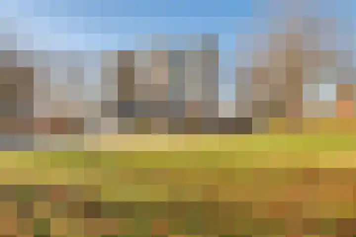 Graan voor Visch 16216 Hoofddorp thumbnail 29
