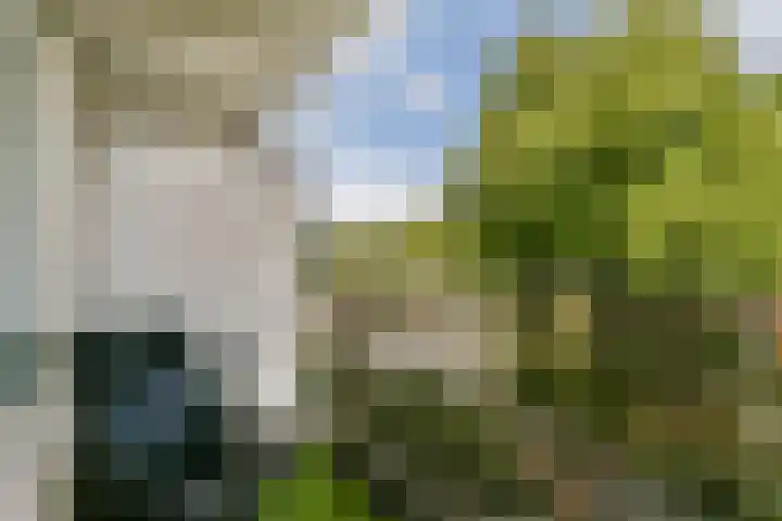 Graan voor Visch 16224 Hoofddorp thumbnail 13