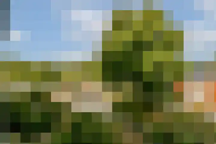 Graan voor Visch 16224 Hoofddorp thumbnail 14