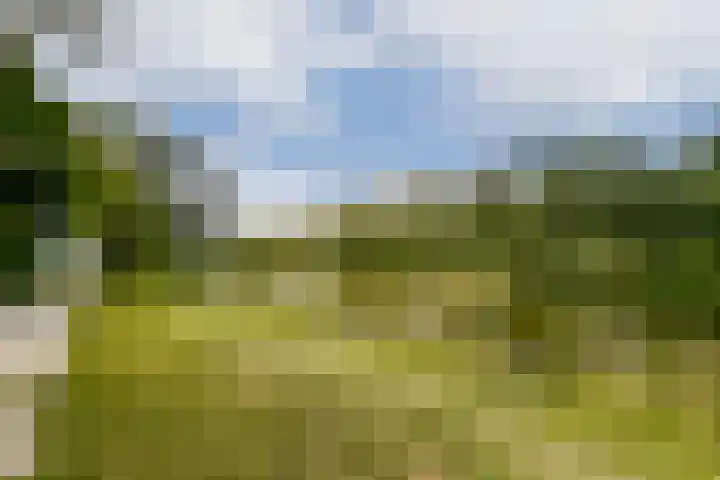 Graan voor Visch 16224 Hoofddorp thumbnail 18