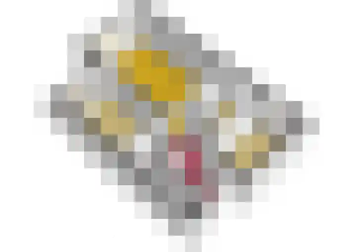Graan voor Visch 16224 Hoofddorp thumbnail 22