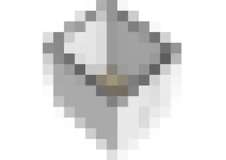 Graan voor Visch 16224 Hoofddorp thumbnail 23
