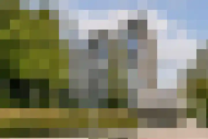 Graan voor Visch 16224 Hoofddorp foto 3