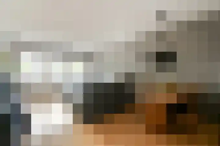 Graan voor Visch 16224 Hoofddorp thumbnail 6