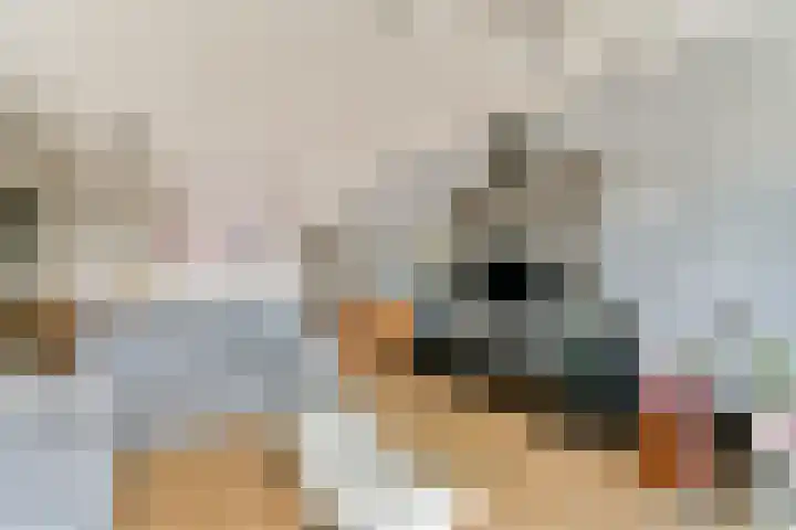 Graan voor Visch 16224 Hoofddorp thumbnail 8