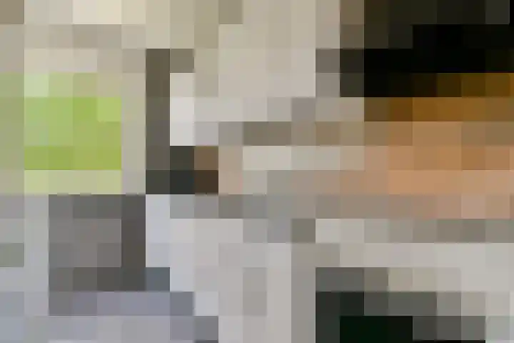Graan voor Visch 16224 Hoofddorp thumbnail 9