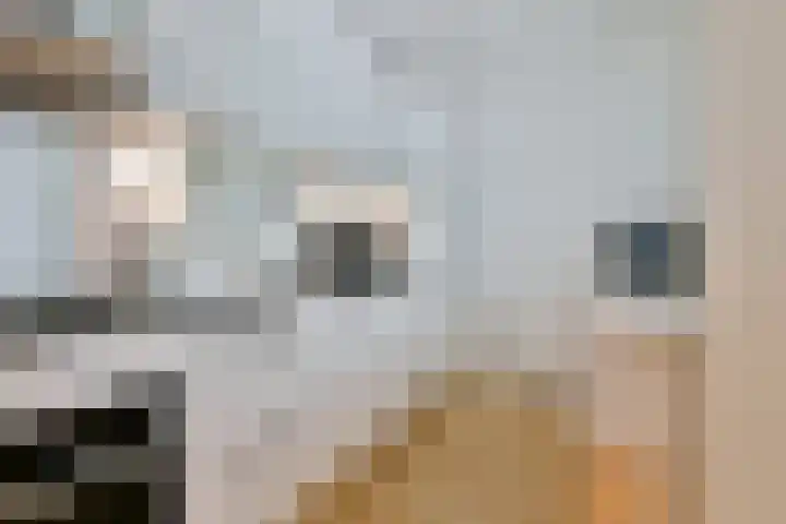 Graan voor Visch 16227 Hoofddorp thumbnail 12