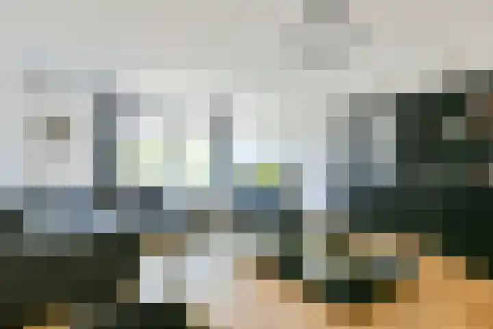 Graan voor Visch 16227 Hoofddorp thumbnail 22