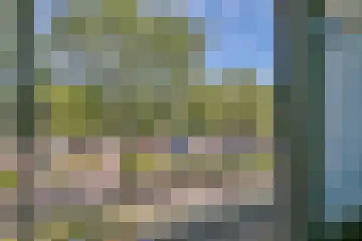 Graan voor Visch 16227 Hoofddorp thumbnail 30
