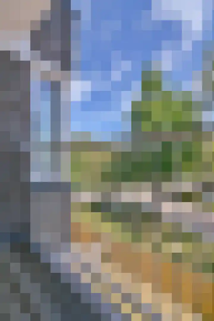 Graan voor Visch 16227 Hoofddorp thumbnail 31