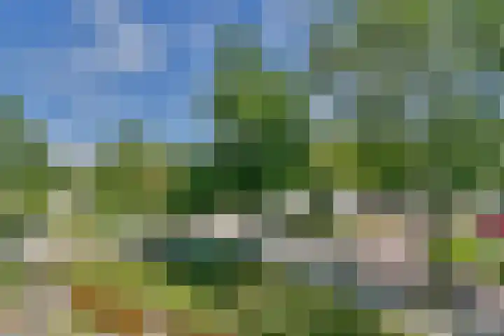 Graan voor Visch 16227 Hoofddorp thumbnail 32