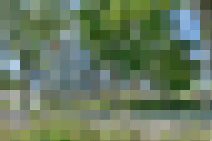 Graan voor Visch 16227 Hoofddorp thumbnail 37