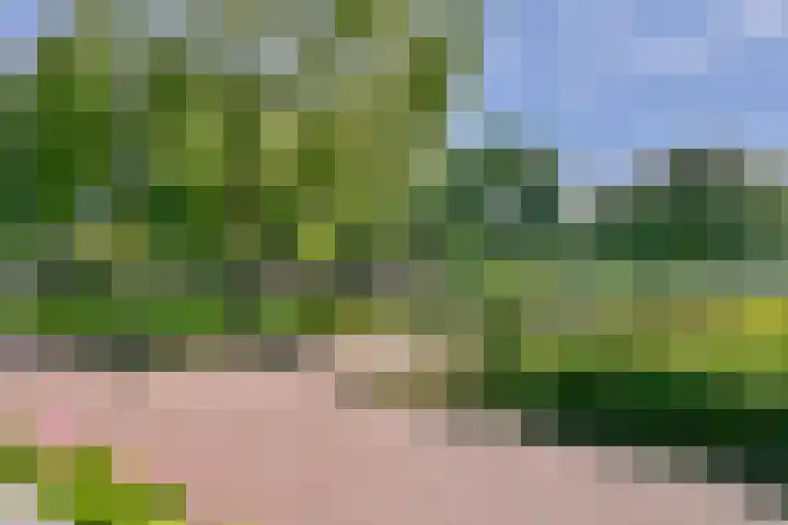 Graan voor Visch 16227 Hoofddorp thumbnail 4